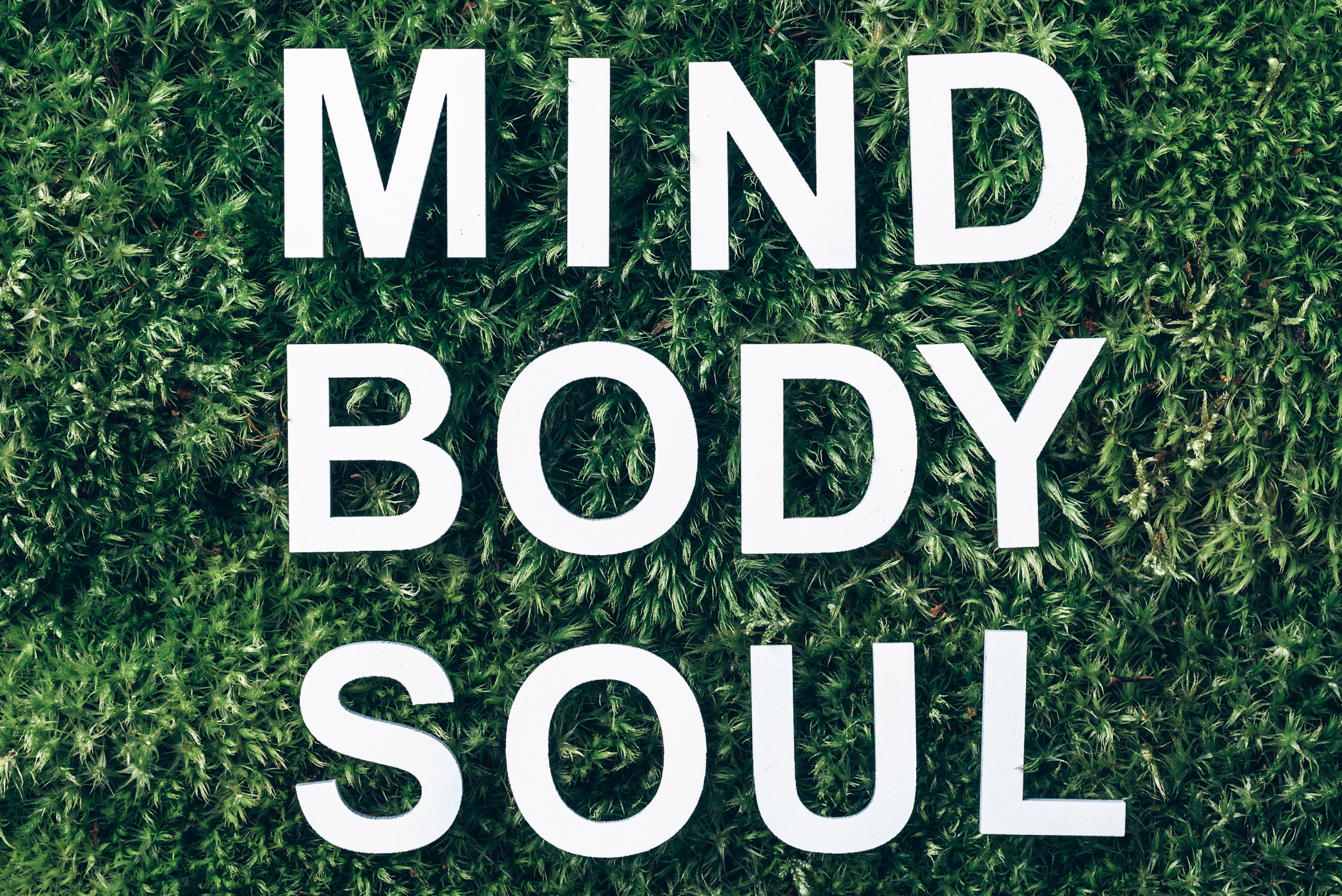 mind body soul
